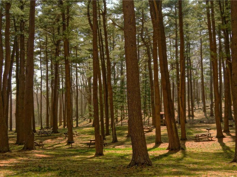 sudoku puzzle game screenshot 3