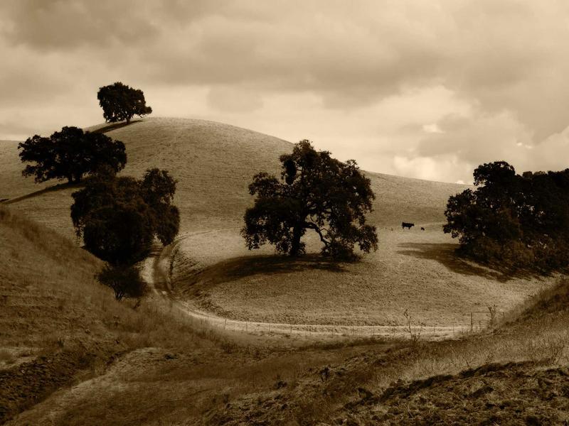 android screenshot 4